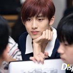 얘들아 이런 코는 성형 ㅠㅠ