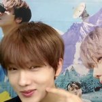 [NCT즌] ㅍㅌ 댕귀엽