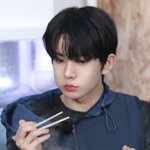 [이것좀봐줘] [엔하이픈] 햄스터좀 보고가세요