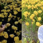 [NCT즌] 호모안하던 나를 호모판에 <b>입문</b>시킨