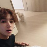 얘들아 너구리 <b>먹말</b>