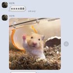 3년 내신 평균 이렇게 <b>계산</b>하는거 맞음??