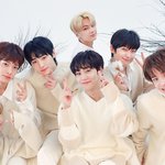 [엔하이픈] 엔하이픈 전혀 모르는 사람이