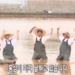 [세븐틴] 근데 얘들아 <b>홍삼</b>게임 있자나..