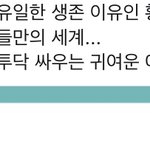 [NCT즌] 작가님 씨피 <b>캐</b>해가