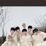 [댓글부탁해] [엔하이픈] 애기들..