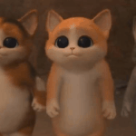 [스키즈] 암만 봐도 순둥<b>도리</b>