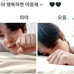 [에이티즈] 미야아 <b>옹</b> ⌯’ㅅ’⌯