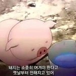 [조언부탁해] 옆모습 개별<b>론데</b> 문제점 좀