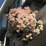 <b>보드</b>게임 추천해주랑