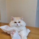 생리예정 2일 남았는데 <b>식욕</b> 어떡하지