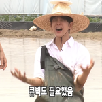 [세븐틴] 타팬 고셉보는데