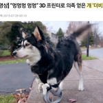 <b>개더</b>비
