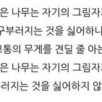 [댓글부탁해] 야 스카이 <b>커트</b>라인이 _반고에서도 해당됨?