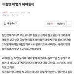 [스키즈] 스테이들 고마워