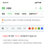 진짜 네이버 대가리 비었냐