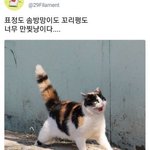 지금이라도 <b>자야</b>겠지
