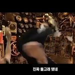 [에이티즈] 결국 돌고래 돼버렸네ㅠ