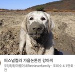 한시간 자고 <b>스카</b>감...