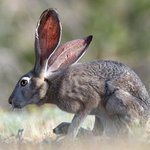 [<b>낚시</b>] 뭐하고지내니 다들