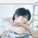 [빅톤] 앨리스 3기 콘셉