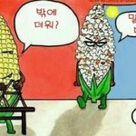 [댓글부탁해] 야 나 지금 너무 짜증나는데 들어와봐