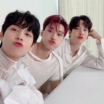 [에이티즈] ㅈㄴ 귀엽지