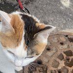[19] 나 오늘 <b>사후</b>피임약먹음