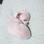 베이스 둥둥둥짖기지기징~~