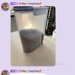 [<b>NCT</b>즌] 쉽쉽이 개웃기다 짖ㅁ자