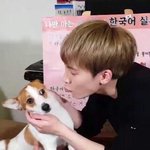 [BTOB] 이 강아지