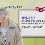 [위너] 인서들아 그거 알았어???