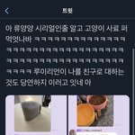 [NCT즌] 야 냥양이 고양이 <b>시리얼</b> 먹었대ㅋㅋㅋㅋㅋㅋ