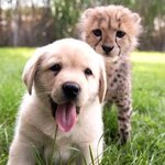 [NCT즌] <b>오웅</b> 졔노야 어디가냐