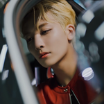 [세븐틴] 진짜