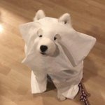 [댓글부탁해] 핏 좋은 <b>반팔</b> 브랜드 ㅊㅊ해주라