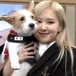 로제 이 짤 왜이럼..?