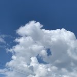 주말 뽀송뽀송한 노래 추천하자!（≧∇≦）