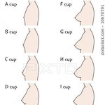 여기 사진상 <b>D</b><b>컵</b>이면