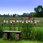 [회사생활] 모든 일에 뛰어날 필요는 없다~