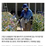 [NCT즌] 근데 후쿠시마 꽃다발은 상품이냐 <b>벌칙</b>이냐