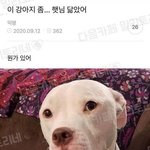[댓글부탁해] 이 짤 ㅈㄴ웃김