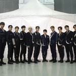 세븐틴 비율체감