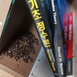 수면제에 커피 마시고 공부하다 <b>휴식</b>타임은 네이트판 아닐까?