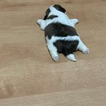 [19] 나 mbti F인 거 같아 T인 거 같아?