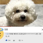 [추반] <b>니</b>네 <b>짝</b>남이랑 인생네컷 찍기 ㄱㄴ?