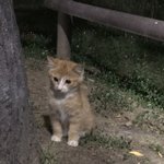 [드루와] 우이판 ㄹㅇ <b>사형</b>이야....?