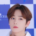 고래별 <b>강의</b>현이랑 더보이즈 현재 비슷하지않읒?