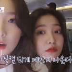 <b>SM</b>이 꽃밭이라 불리는 이유