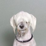 [NCT즌] <b>더위</b>에 녹는 나